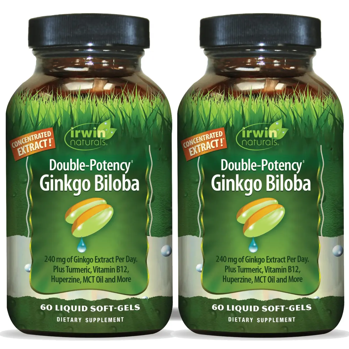 Irwin Naturals Double-Potency Ginkgo Biloba 120 Liquid Soft-Gels | Supports Memory & Brain Wellness - main product image