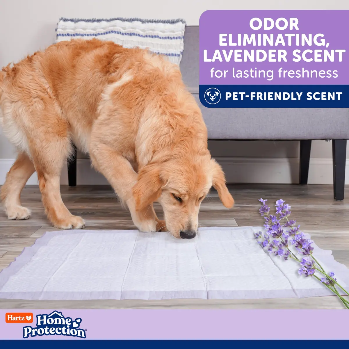 Hartz Dog Pads 3XL | Super Absorbent Odor Eliminating Lavender Scented No Leak (36 x 36 in, 14 Count) - view 6