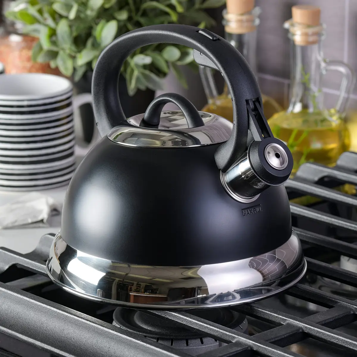 Mr. Coffee Flintshire 1.75-Quart (1.65 L) Stainless Steel Whistling Tea Kettle with Nylon Handle – Matte Black Stove-Top Kettle - view 7