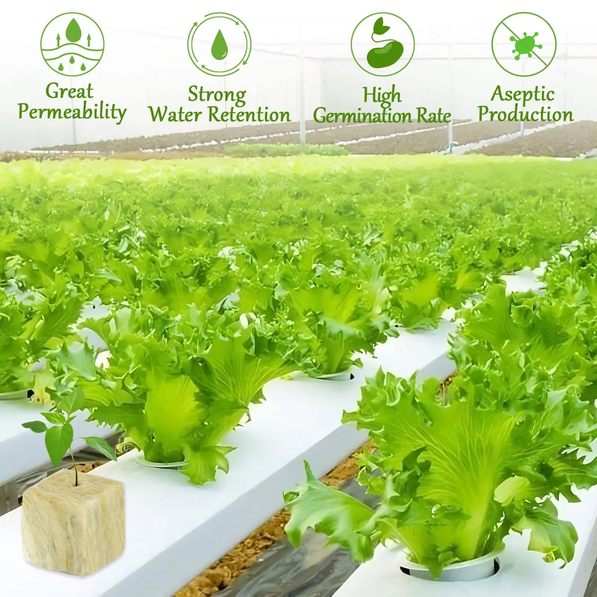 Legigo 1.2 Inch Rockwool Cubes Seed Starter Plugs 144 Count | Hydroponics & Soilless Gardening - view 4