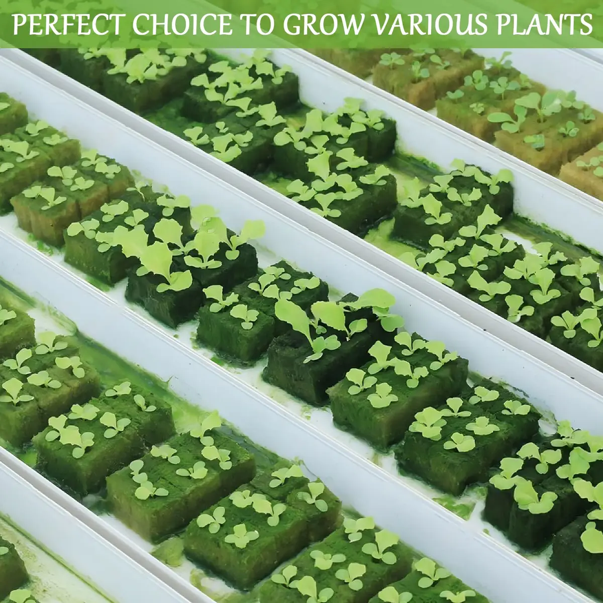 Legigo 1.2 Inch Rockwool Cubes Seed Starter Plugs 144 Count | Hydroponics & Soilless Gardening - view 7