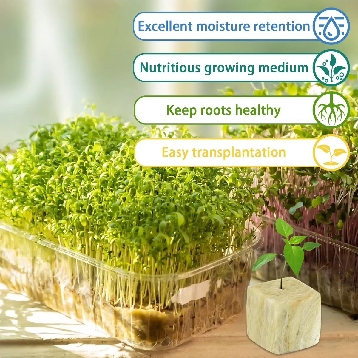 Legigo 1.2 Inch Rockwool Cubes Seed Starter Plugs 144 Count | Hydroponics & Soilless Gardening - view 3