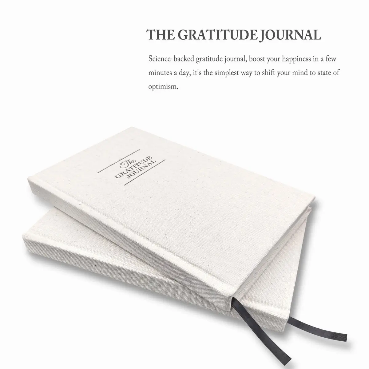 GOSSIP FOX Gratitude Journal for Happiness, Optimism & Reflection - Undated Daily Planner 15.2 x 21.3 cm (6 x 8.4 inches) - view 3
