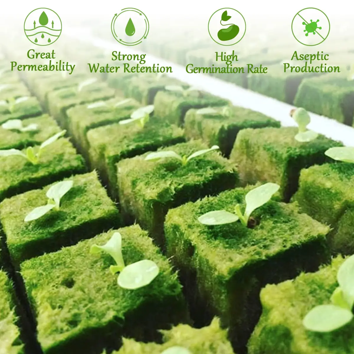 Legigo 1.2 Inch Rockwool Cubes Seed Starter Plugs 144 Count | Hydroponics & Soilless Gardening - view 5