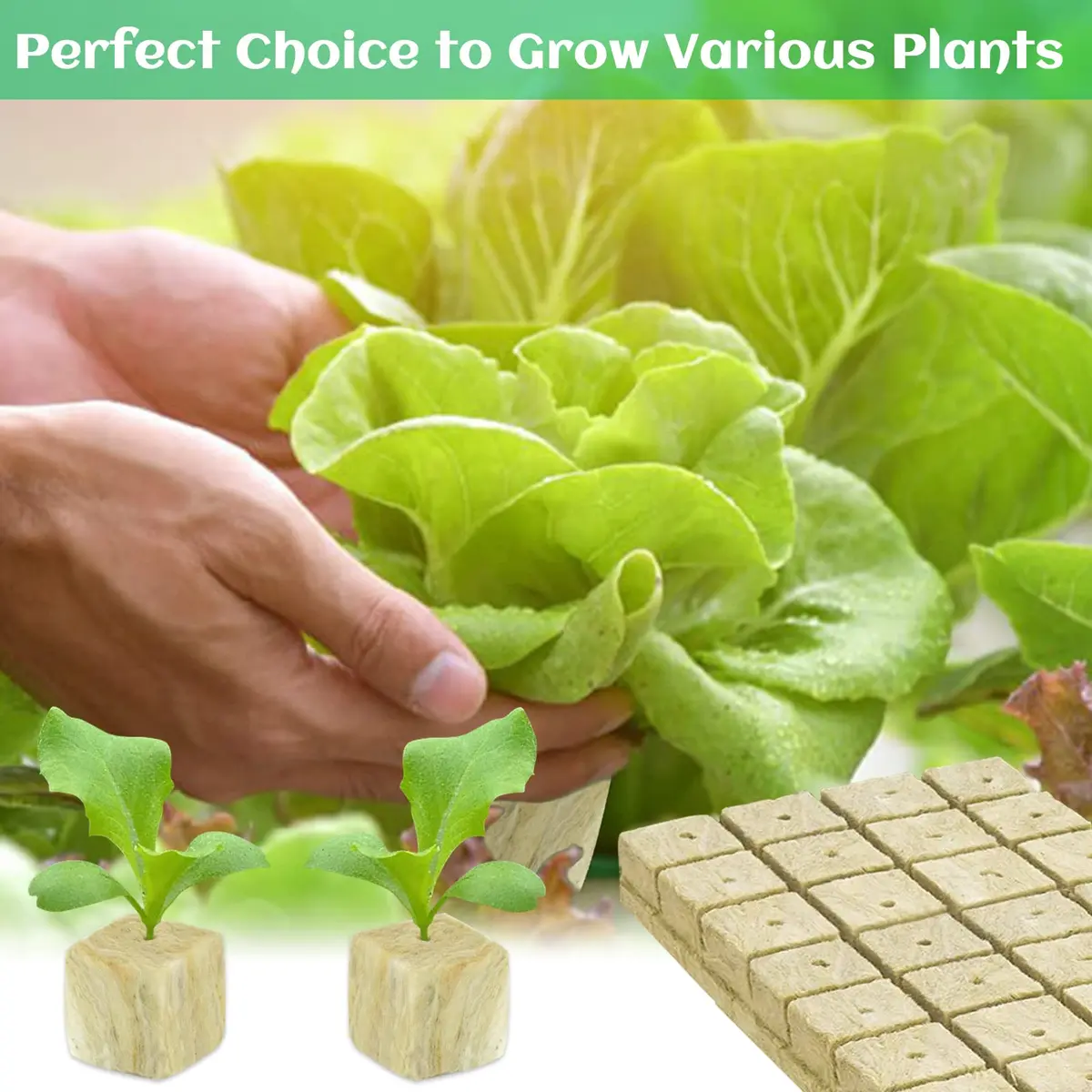 Legigo 1.2 Inch Rockwool Cubes Seed Starter Plugs 144 Count | Hydroponics & Soilless Gardening - view 6