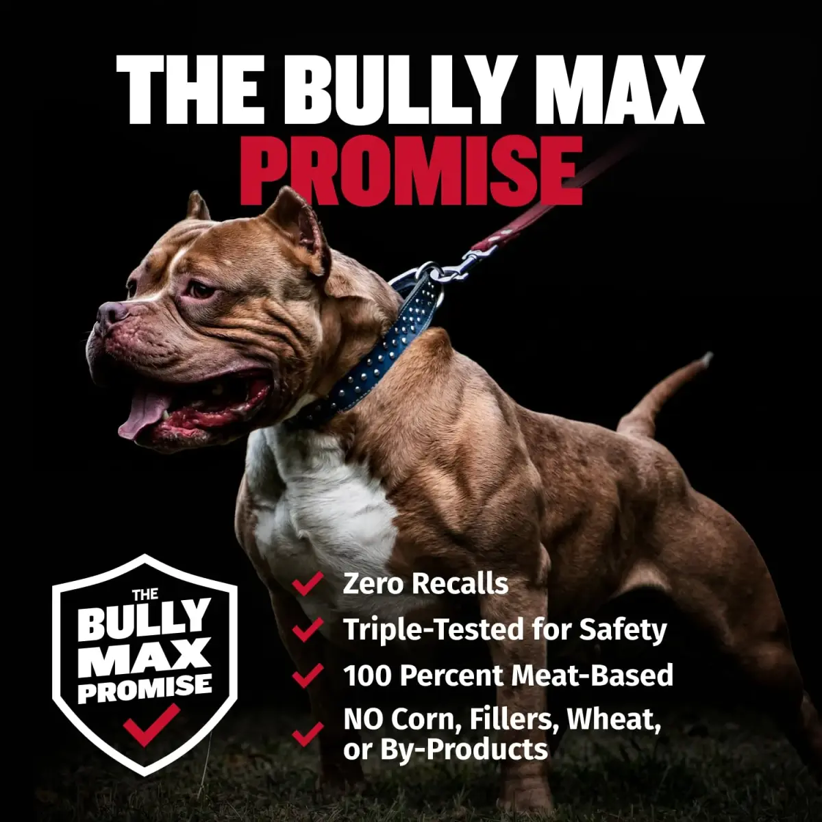 Bully Max 2-in-1 Muscle Builder for Dogs - 30 Chewable Tablets | Vet-Endorsed Dog Multivitamin for Muscle Gain & Growth - view 7