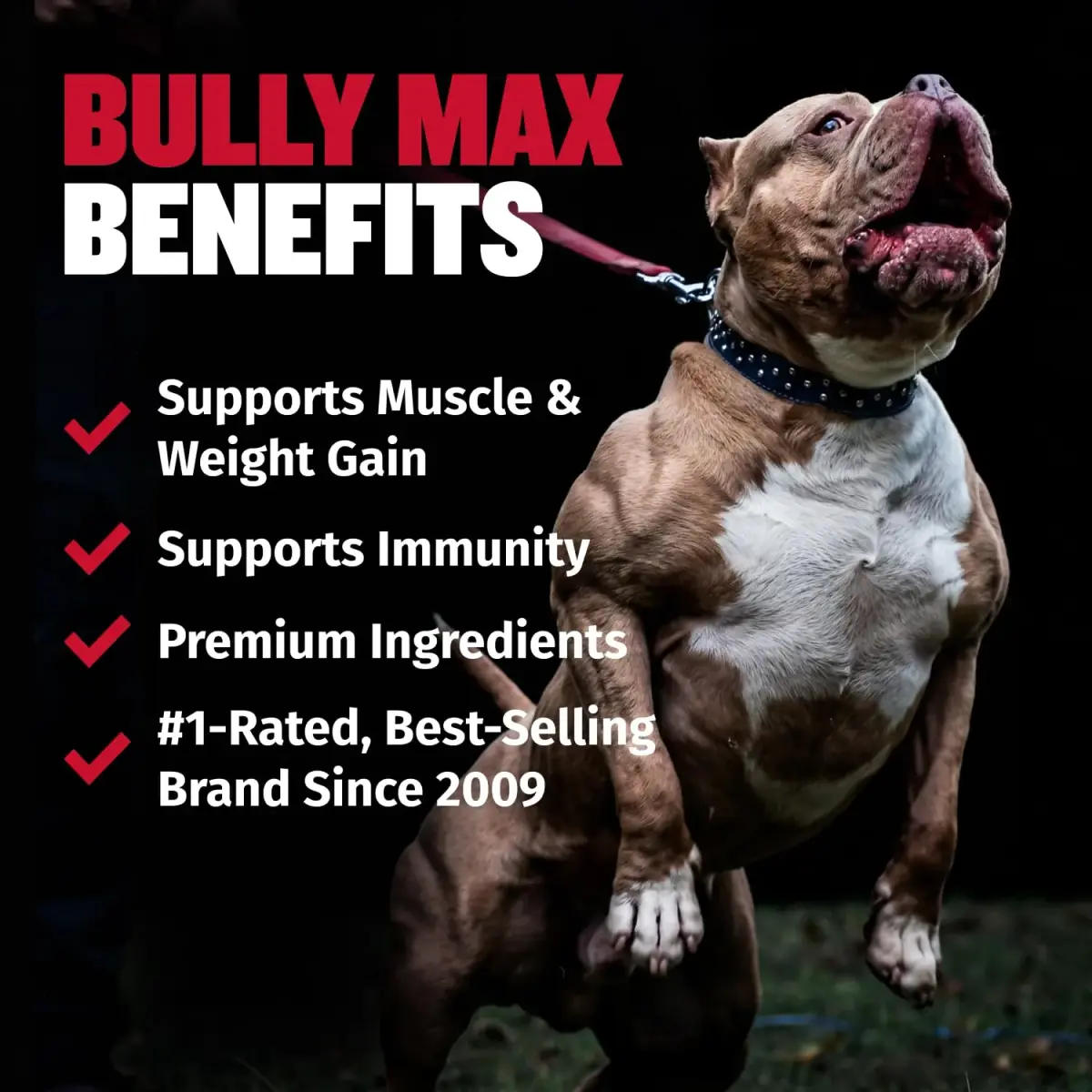 Bully Max 2-in-1 Muscle Builder for Dogs - 30 Chewable Tablets | Vet-Endorsed Dog Multivitamin for Muscle Gain & Growth - view 2