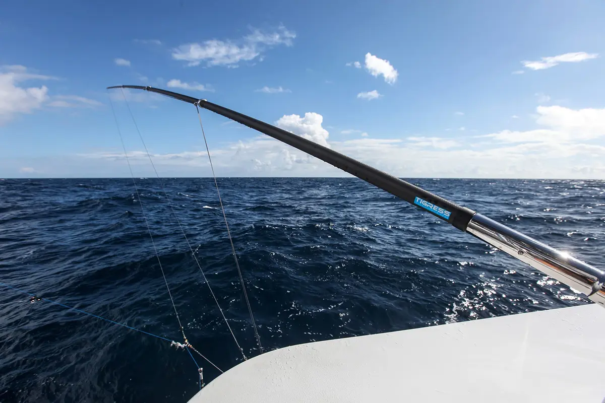 Tigress XD 3K Carbon Fiber Telescoping Center Outrigger | Sport Fishing Boat Accessory - view 8