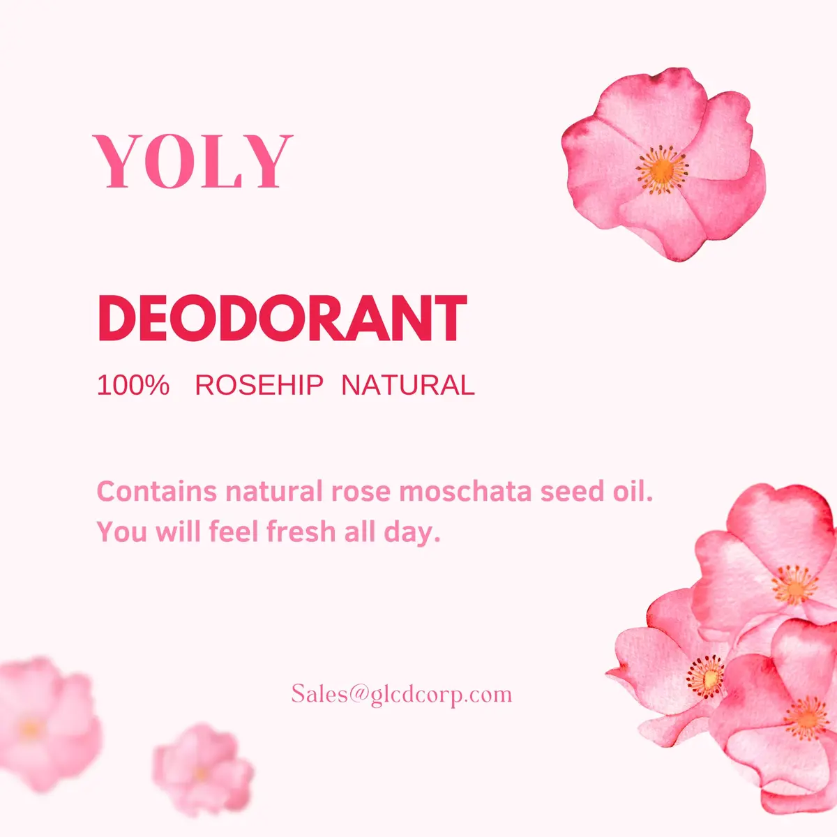 YOLY Rosa Mosqueta Antiperspirant Roll-On 75ml | All Day Fresh & Odor Control - view 3