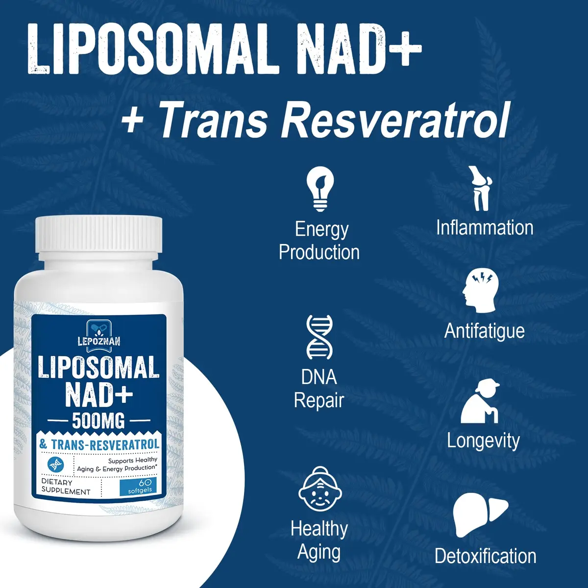 Lepoznan Liposomal NAD+ 500 mg + Trans-Resveratrol 300 mg | Superior Absorption for Healthy Aging - view 5