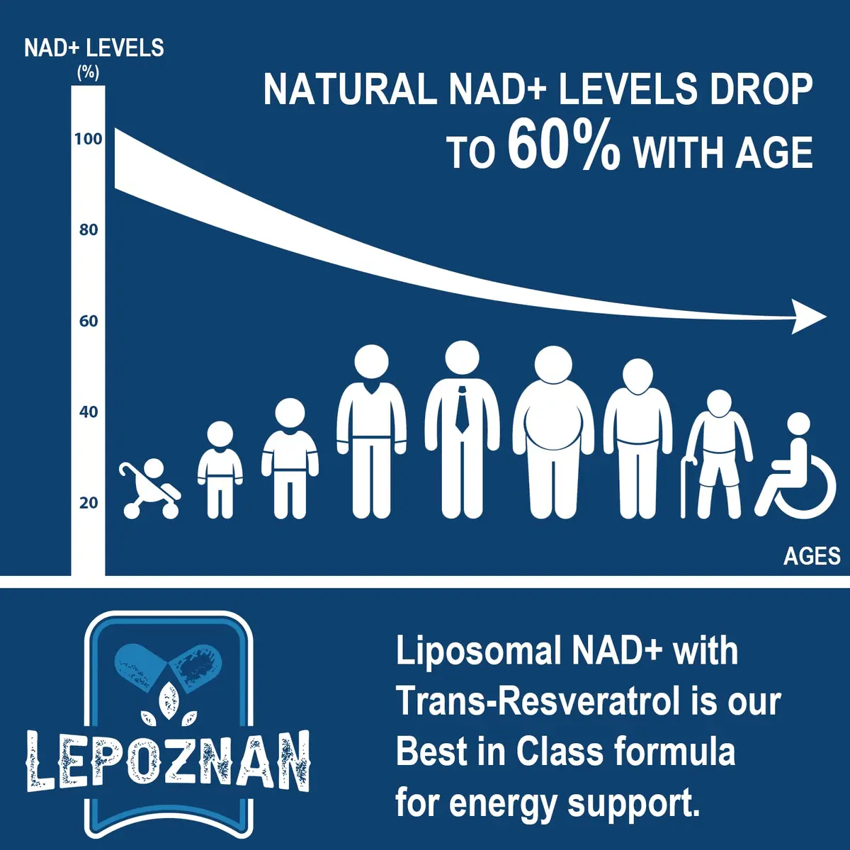 Lepoznan Liposomal NAD+ 500 mg + Trans-Resveratrol 300 mg | Superior Absorption for Healthy Aging - view 3