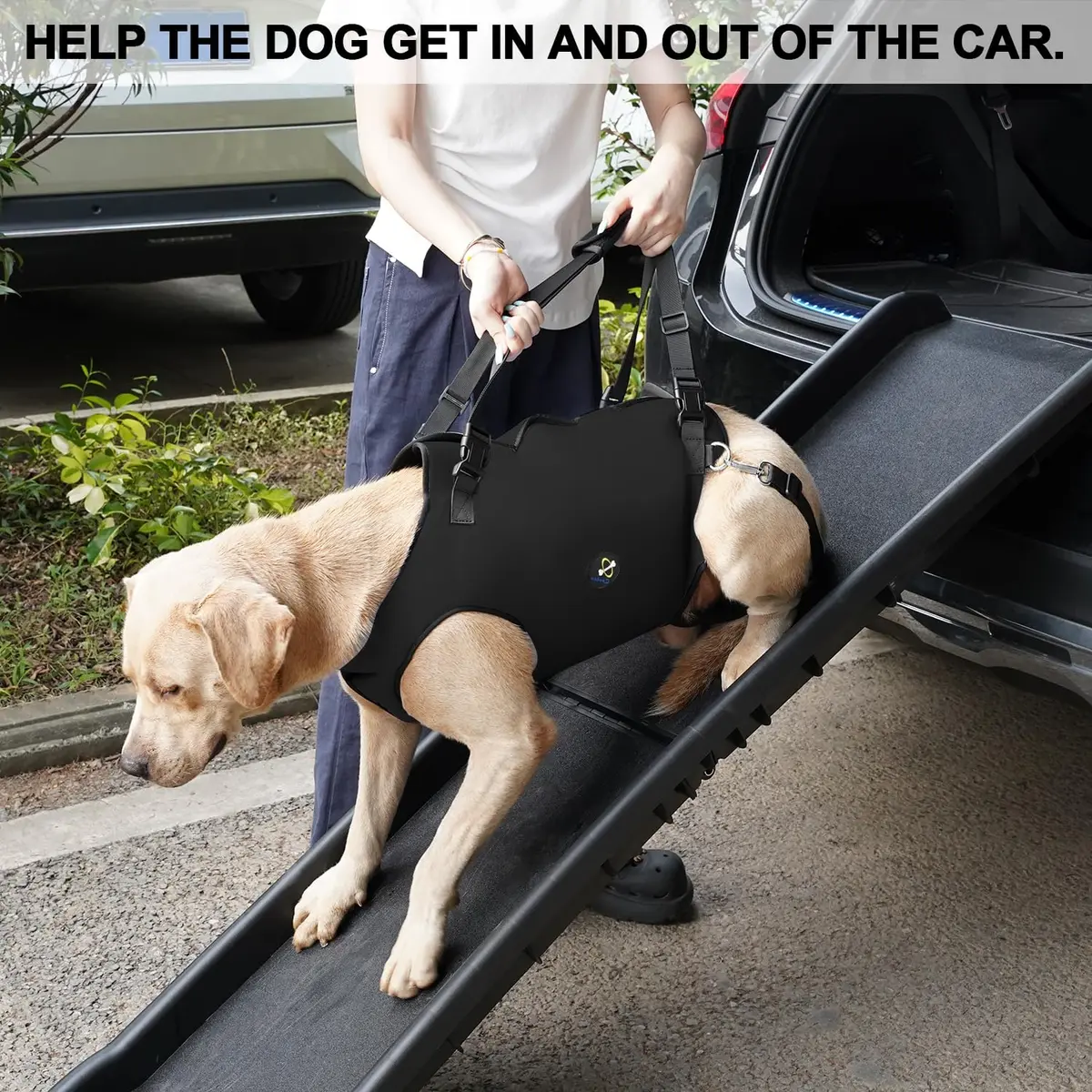 Coodeo Dog Lift Harness Black XS | Professional Support for Old & Disabled Dogs - view 5