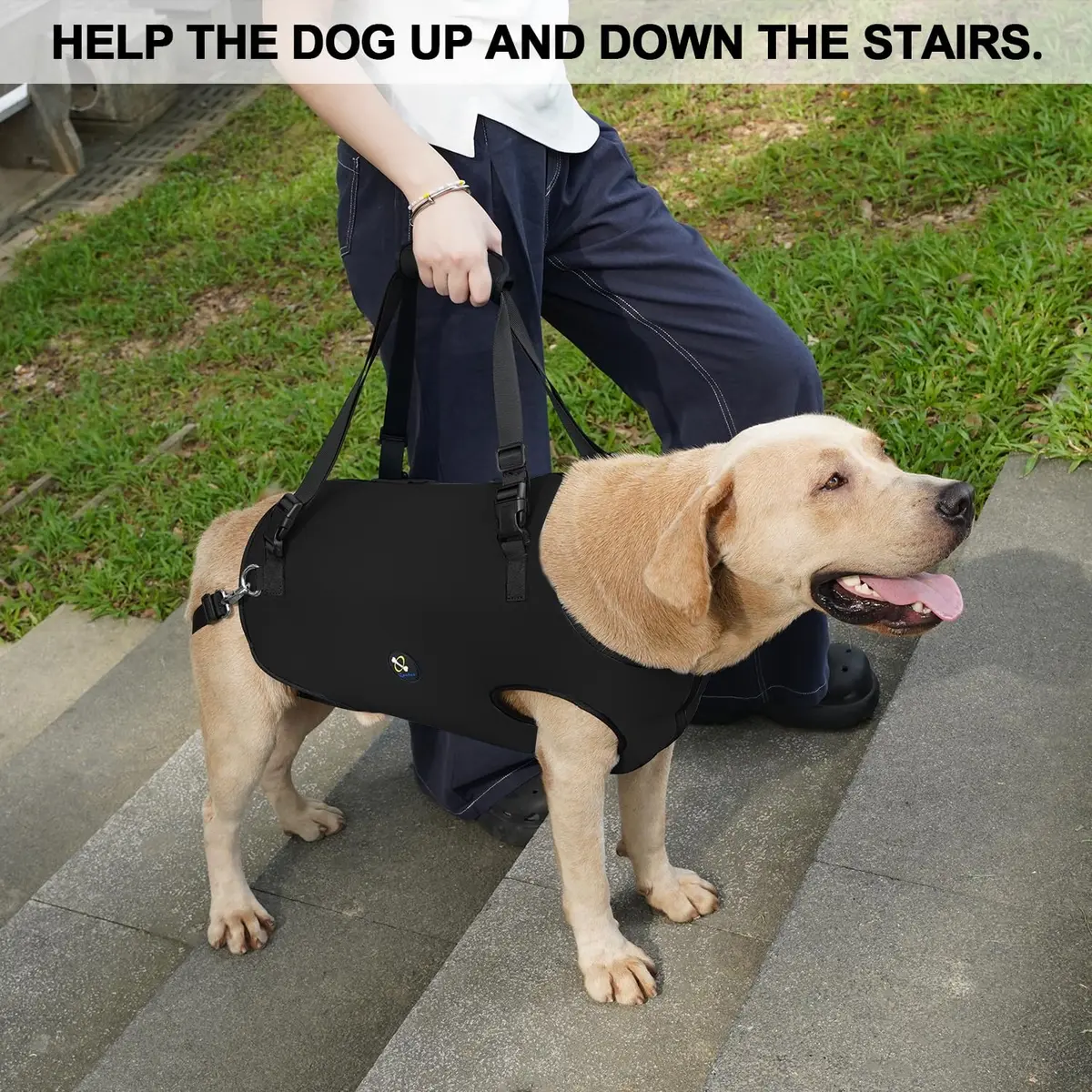Coodeo Dog Lift Harness Black XS | Professional Support for Old & Disabled Dogs - view 2