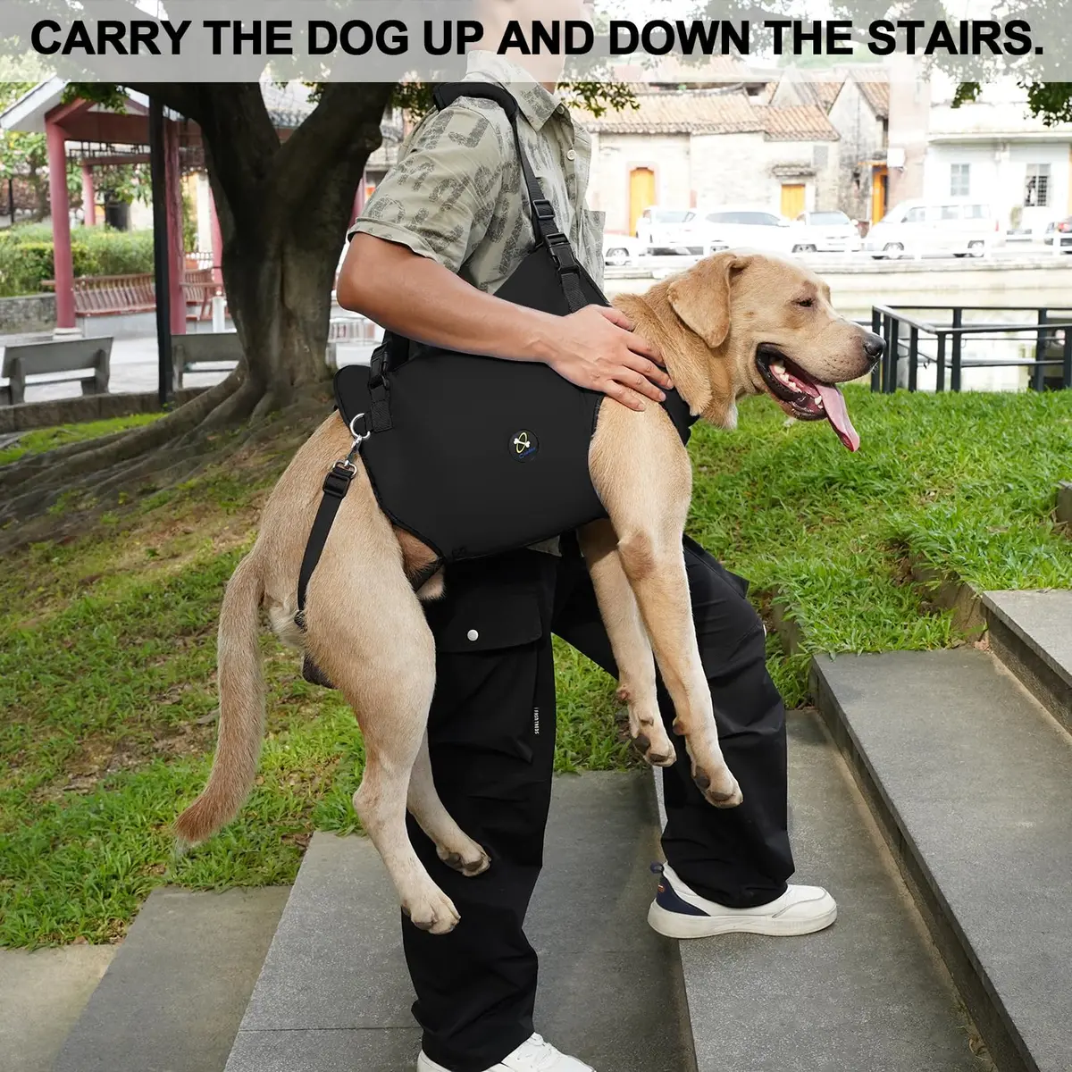 Coodeo Black Dog Lift Harness with Adjustable Padded Straps for Large Dogs | Support & Rehabilitation Sling for Old, Disabled, Joint Injuries, Arthritis, Loss of Stability - view 4