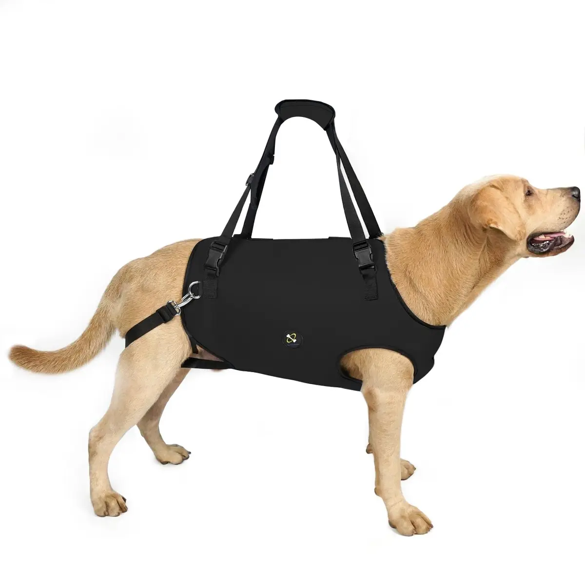 Coodeo Dog Lift Harness for Old & Disabled Dogs, Medium Black, 0.23 kg (0.51 lb) | Rehabilitation Sling with Adjustable Straps - main product image