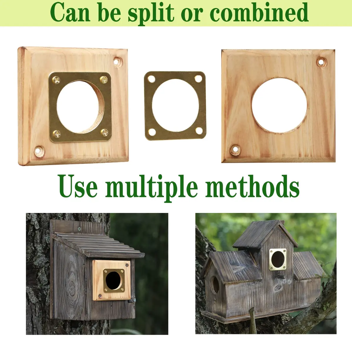 Cloud Fragrant Birdhouse Predator Guard 3.5" x 3.5" | Durable Wooden Hole Protector for Eastern Bluebird (70-120 chars) - view 7