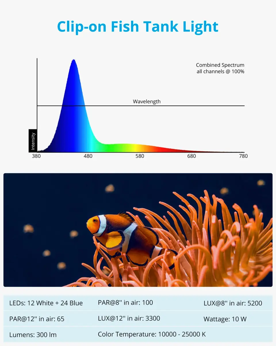NICREW Clip-on Marine Aquarium Light for Coral Reef Tank | 10W LED, Blue & White Spectrum, Adjustable Brightness - view 6