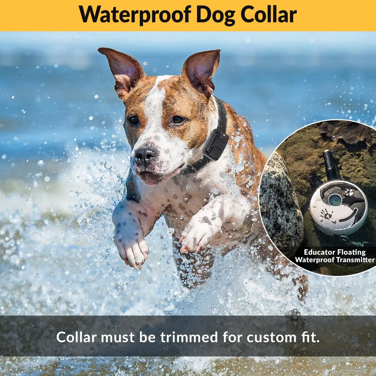 Mini Educator E-Collar Zen-302 2 Dog System | 1/2 Mile Range, Humane Vibration & Tone - view 5
