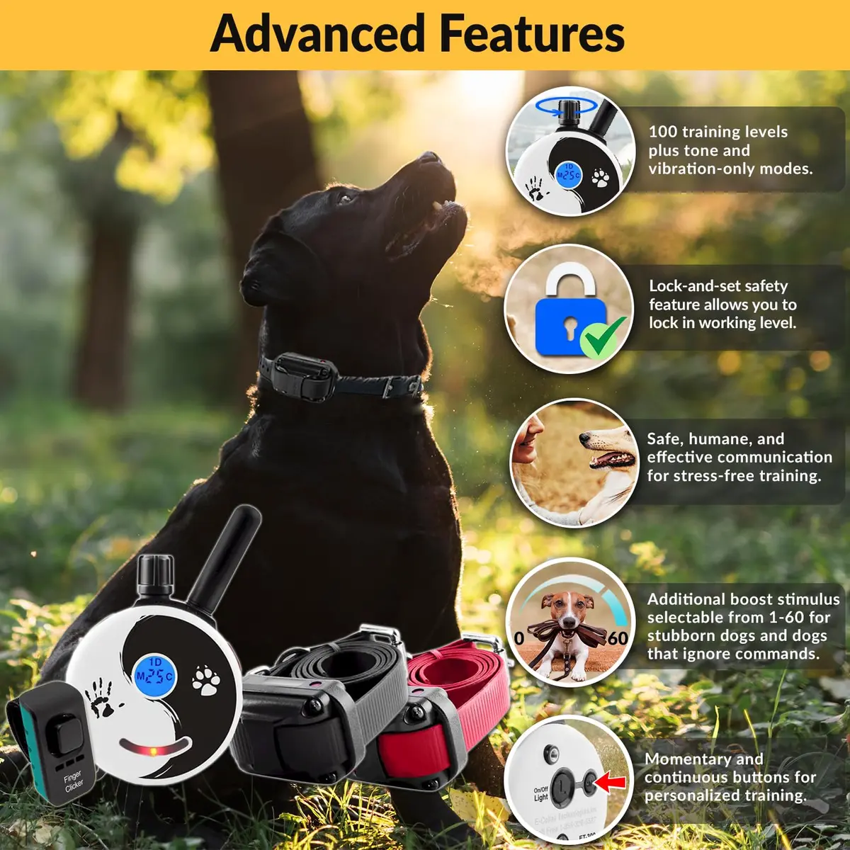 Mini Educator E-Collar Zen-302 2 Dog System | 1/2 Mile Range, Humane Vibration & Tone - view 2