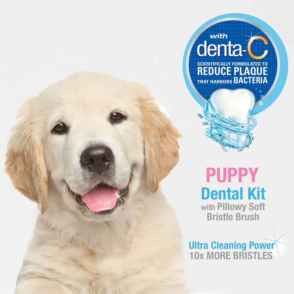 Nylabone Puppy Dental Kit with Soft-Bristle Toothbrush & Peanut Butter Paste | Veterinarian-Recommended - view 2