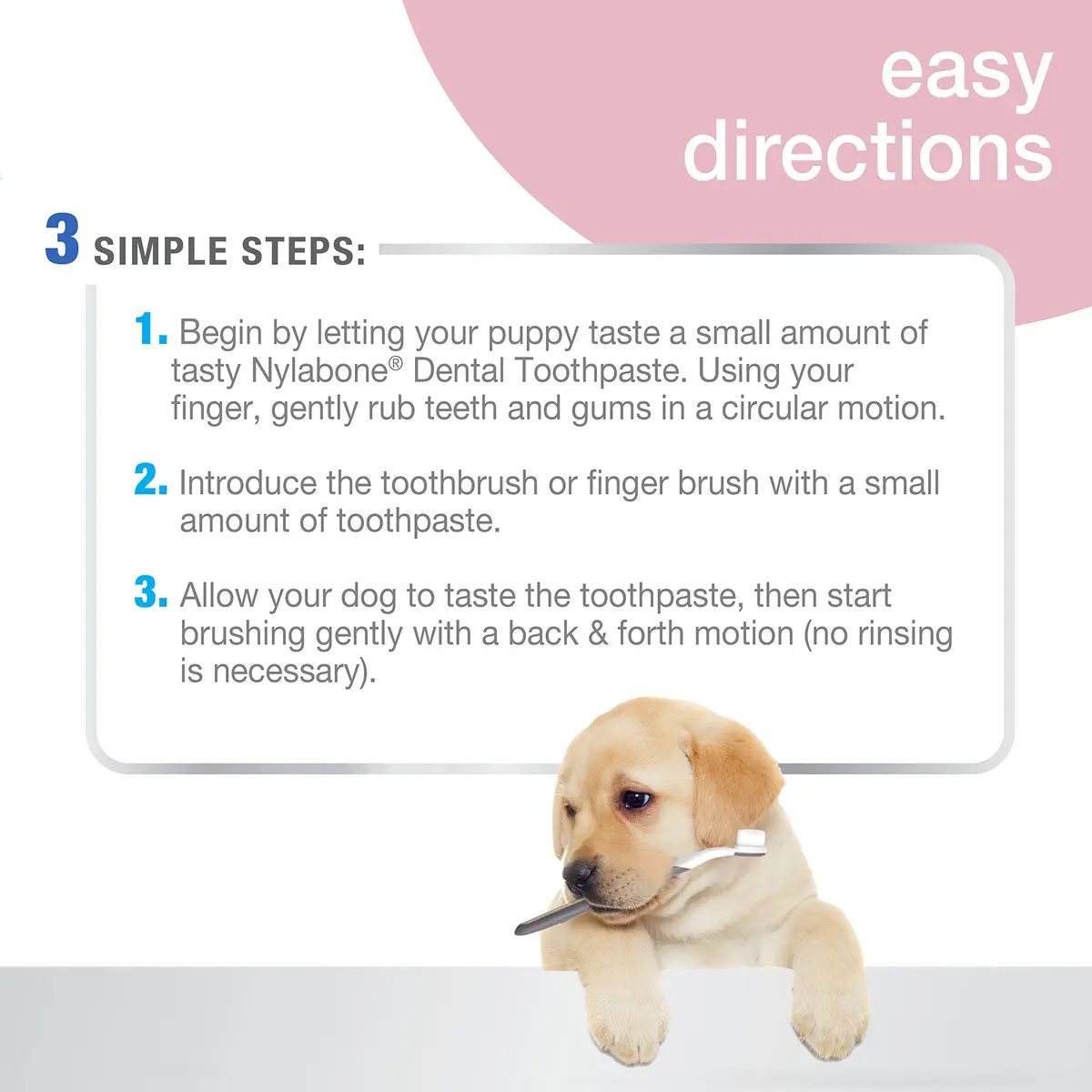 Nylabone Puppy Dental Kit with Soft-Bristle Toothbrush & Peanut Butter Paste | Veterinarian-Recommended - view 4
