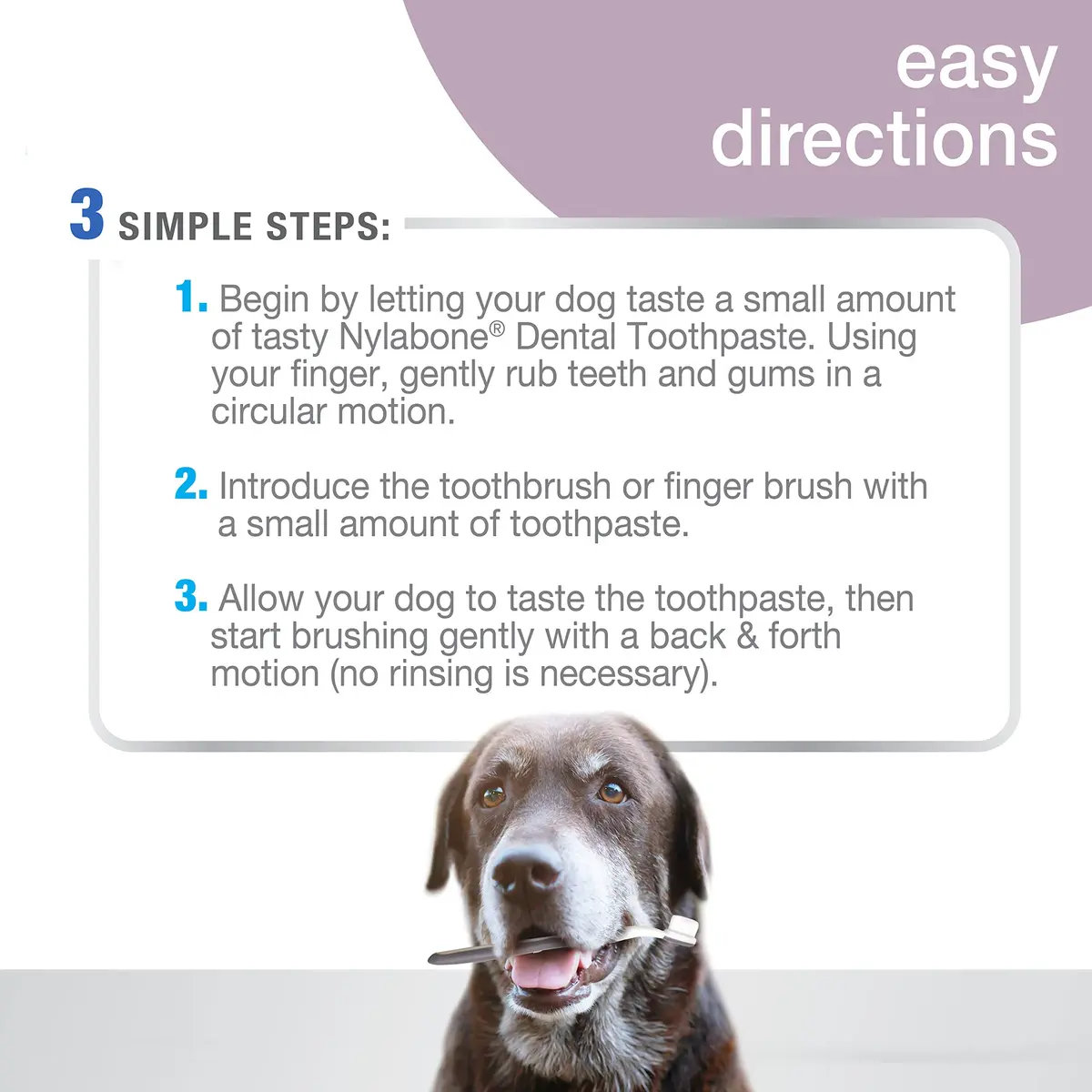 Nylabone Advanced Oral Care Senior Dog Dental Kit with Cushiony Soft-Bristle Toothbrush & Bacon Toothpaste (2.5 oz Tube) - view 6