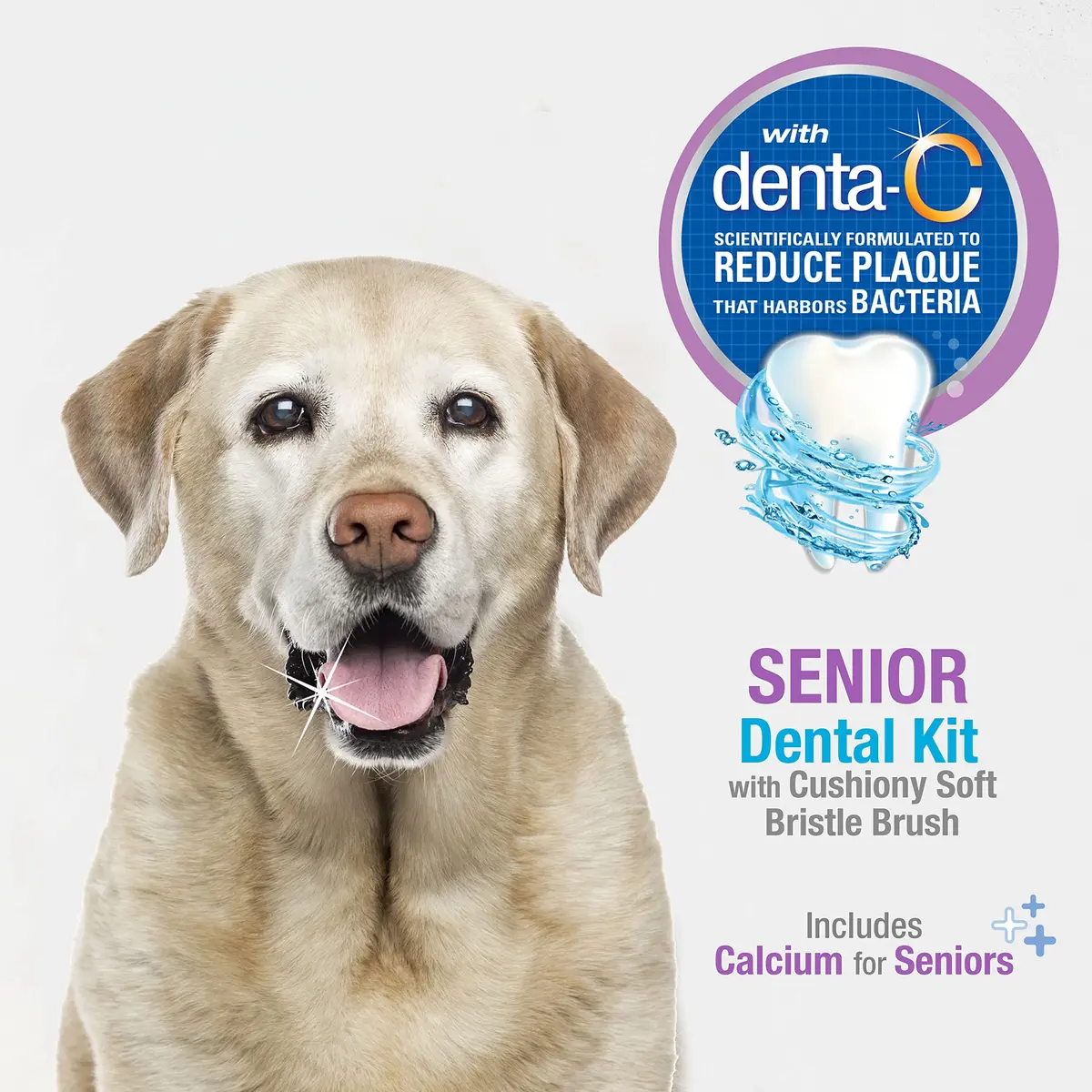 Nylabone Advanced Oral Care Senior Dog Dental Kit with Cushiony Soft-Bristle Toothbrush & Bacon Toothpaste (2.5 oz Tube) - view 2
