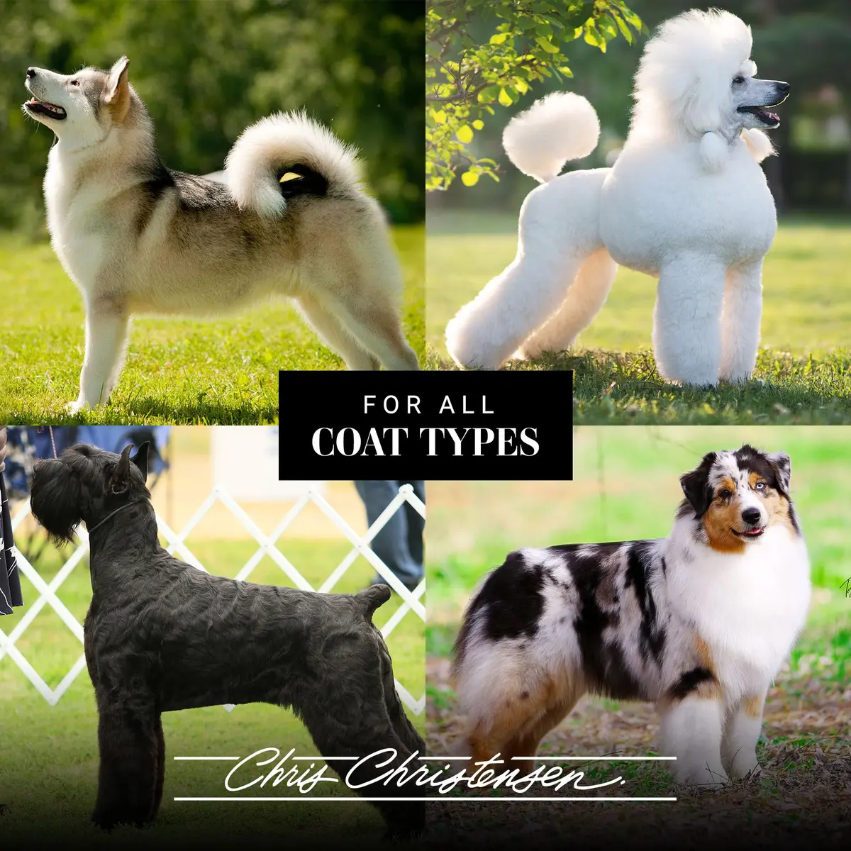 Chris Christensen Gallon Pump Dispenser for Dog Shampoos and Conditioners, 1 oz (30 ml) per Pump | Groom Like a Professional - view 3