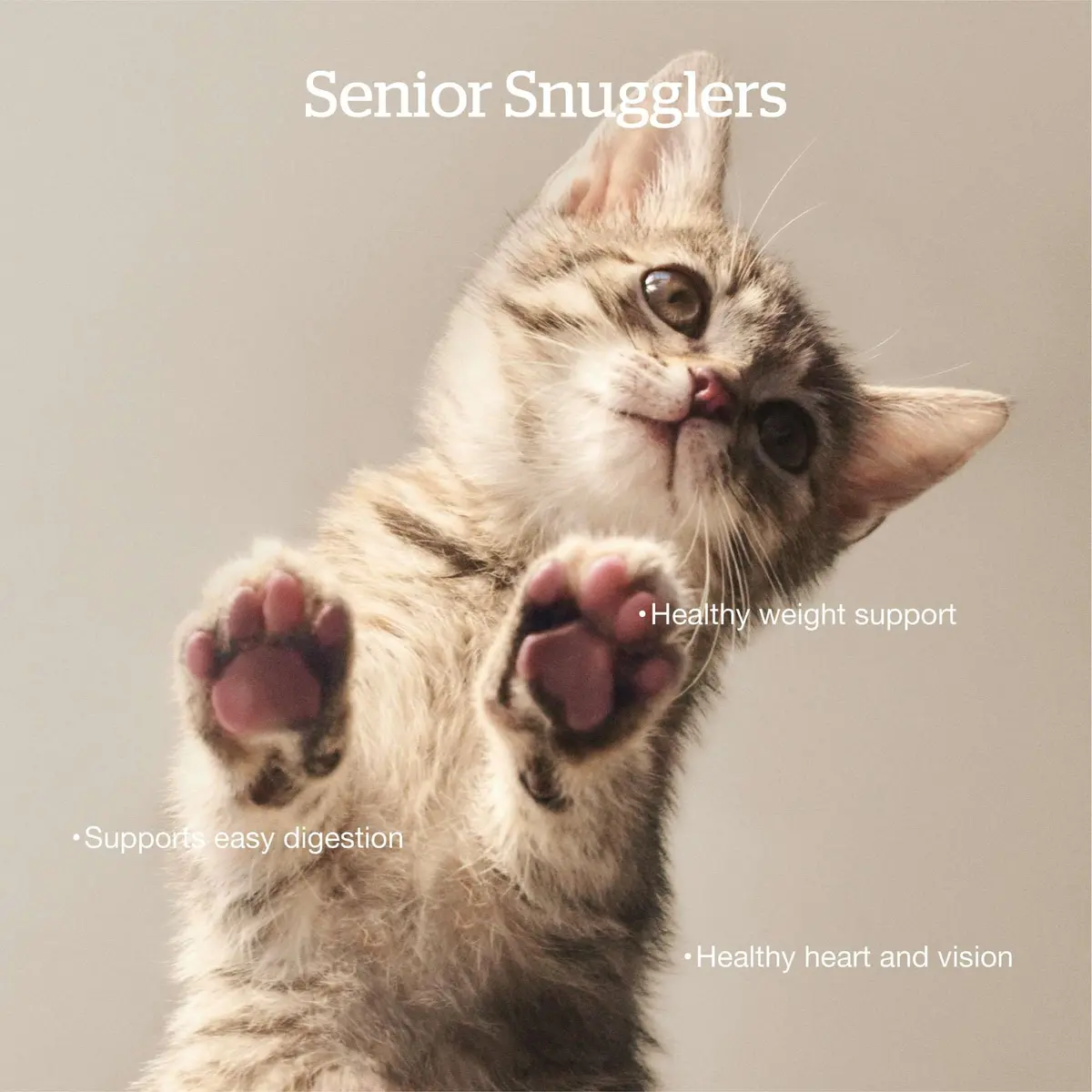 Now Fresh Senior Dry Cat Food, Turkey, Salmon & Duck, 16 lb | Grain-Free & Supports Aging Cats - view 2