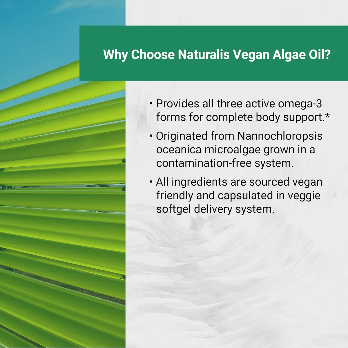Naturalis Vegan Omega 3 520mg 120 Softgels | Vegan Algal Oil for Heart & Joint Support - view 7