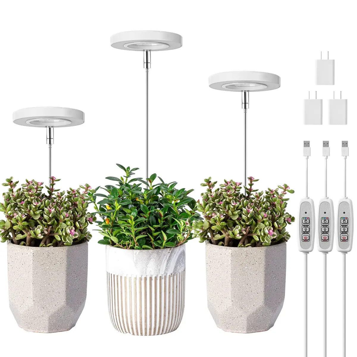 LORDEM Full Spectrum LED Grow Light for Indoor Plants | 3 Pack Height Adjustable, Auto Timer, Dimmable, Stylish Design (3 Pack, White) - main product image