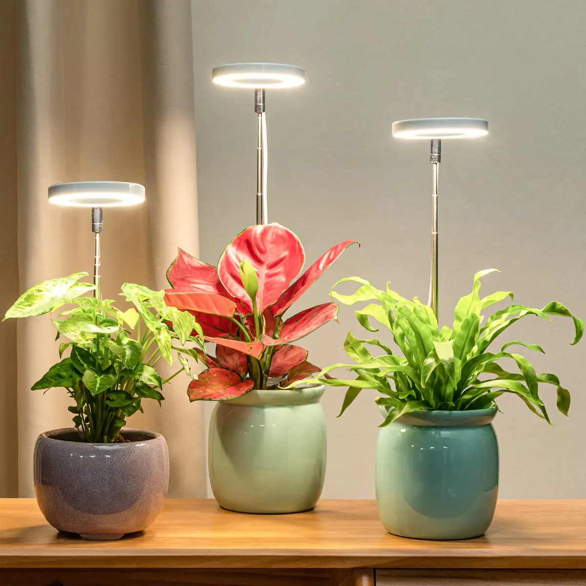 LORDEM Full Spectrum LED Grow Light for Indoor Plants | 3 Pack Height Adjustable, Auto Timer, Dimmable, Stylish Design (3 Pack, White) - view 2