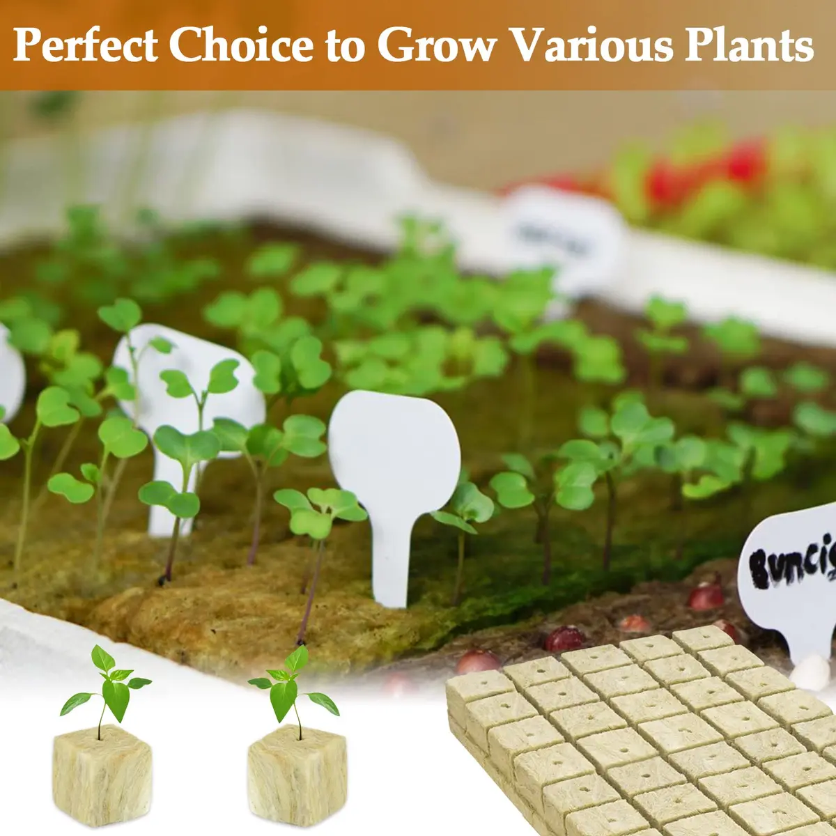 Legigo 200 Rockwool Cubes Seed Starter Plugs 1 Inch | Hydroponics & Soilless Cultivation - view 6