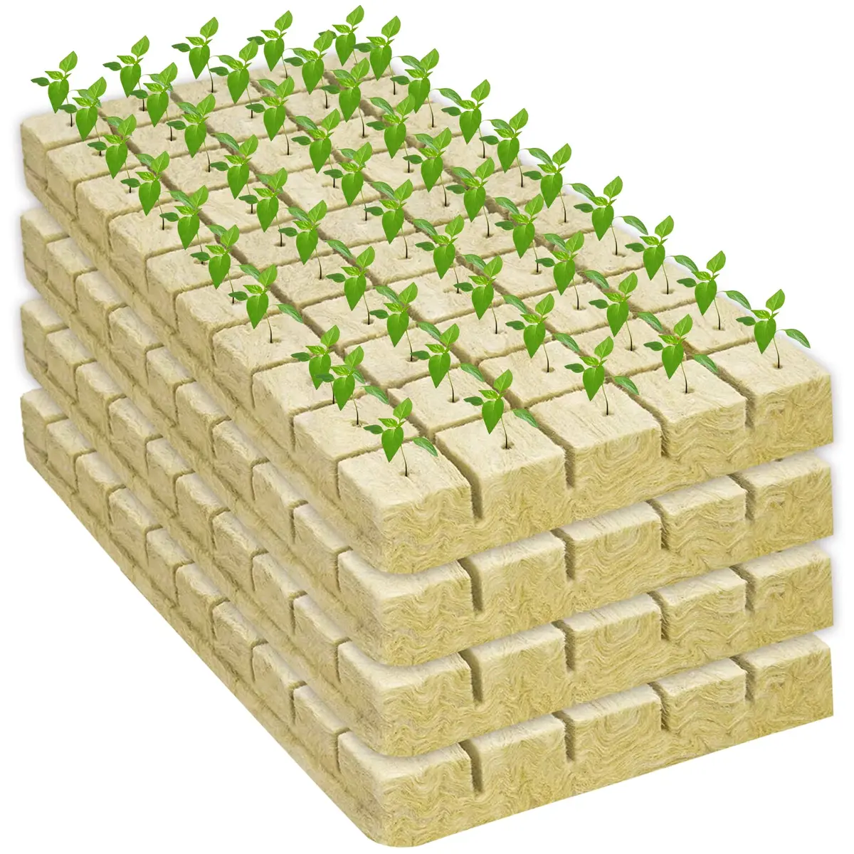 Legigo 200 Rockwool Cubes Seed Starter Plugs 1 Inch | Hydroponics & Soilless Cultivation - view 8