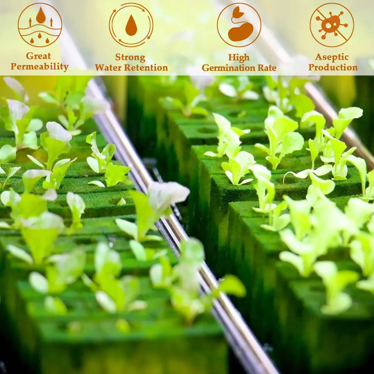 Legigo 200 Rockwool Cubes Seed Starter Plugs 1 Inch | Hydroponics & Soilless Cultivation - view 4