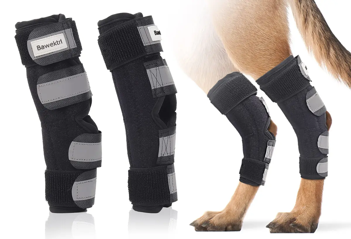 Bawektrl Dog Leg Brace for Back Legs, Hock Ankle Support for Large Dogs with Arthritis & Injury Sprain (1 Pair, Black) - main product image