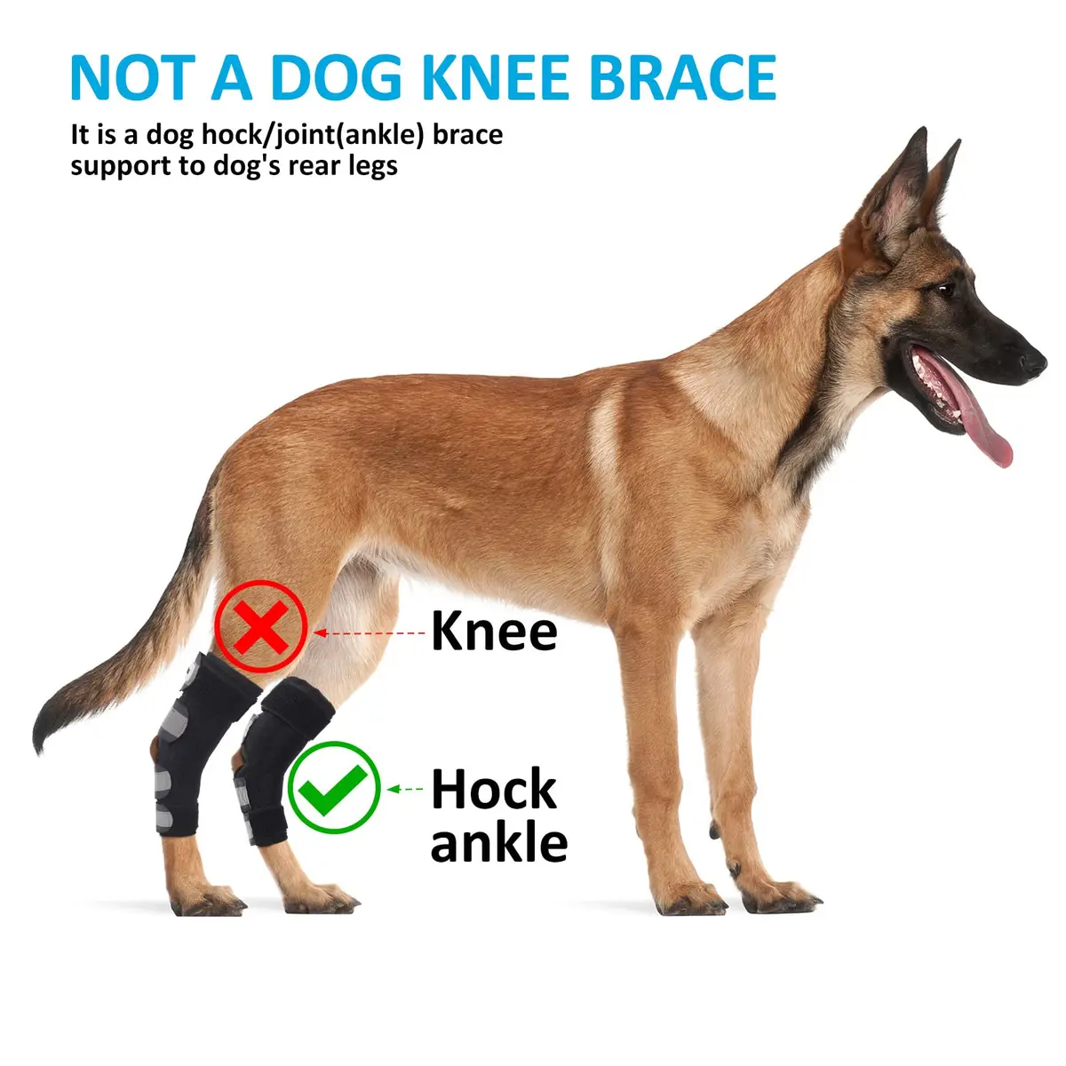 Bawektrl Dog Hock Brace for Back Legs with Metal Strips & Reflective Straps, Small (1 Pair) - view 8