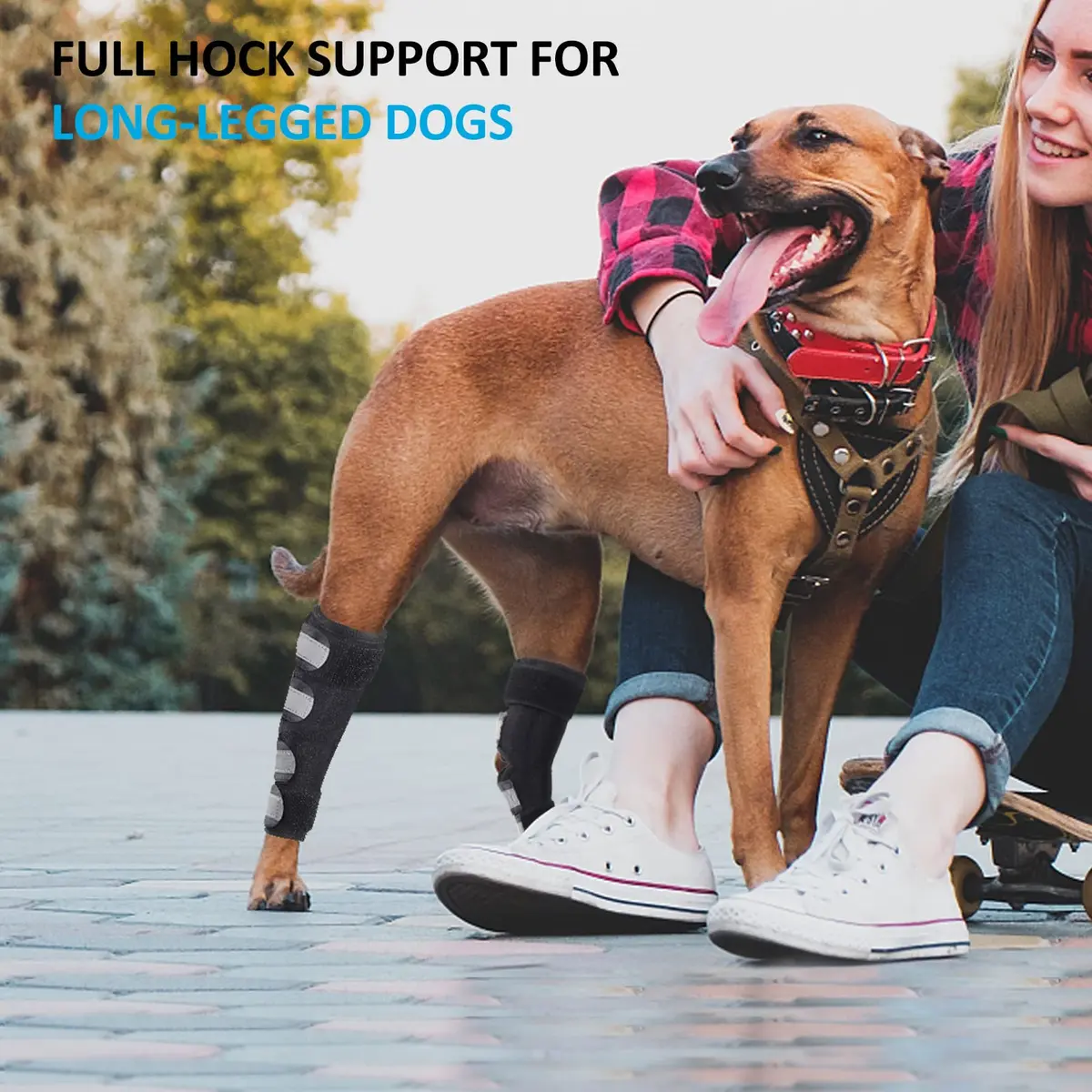 Bawektrl Dog Hock Brace for Back Legs with Metal Strips & Reflective Straps, Small (1 Pair) - view 2