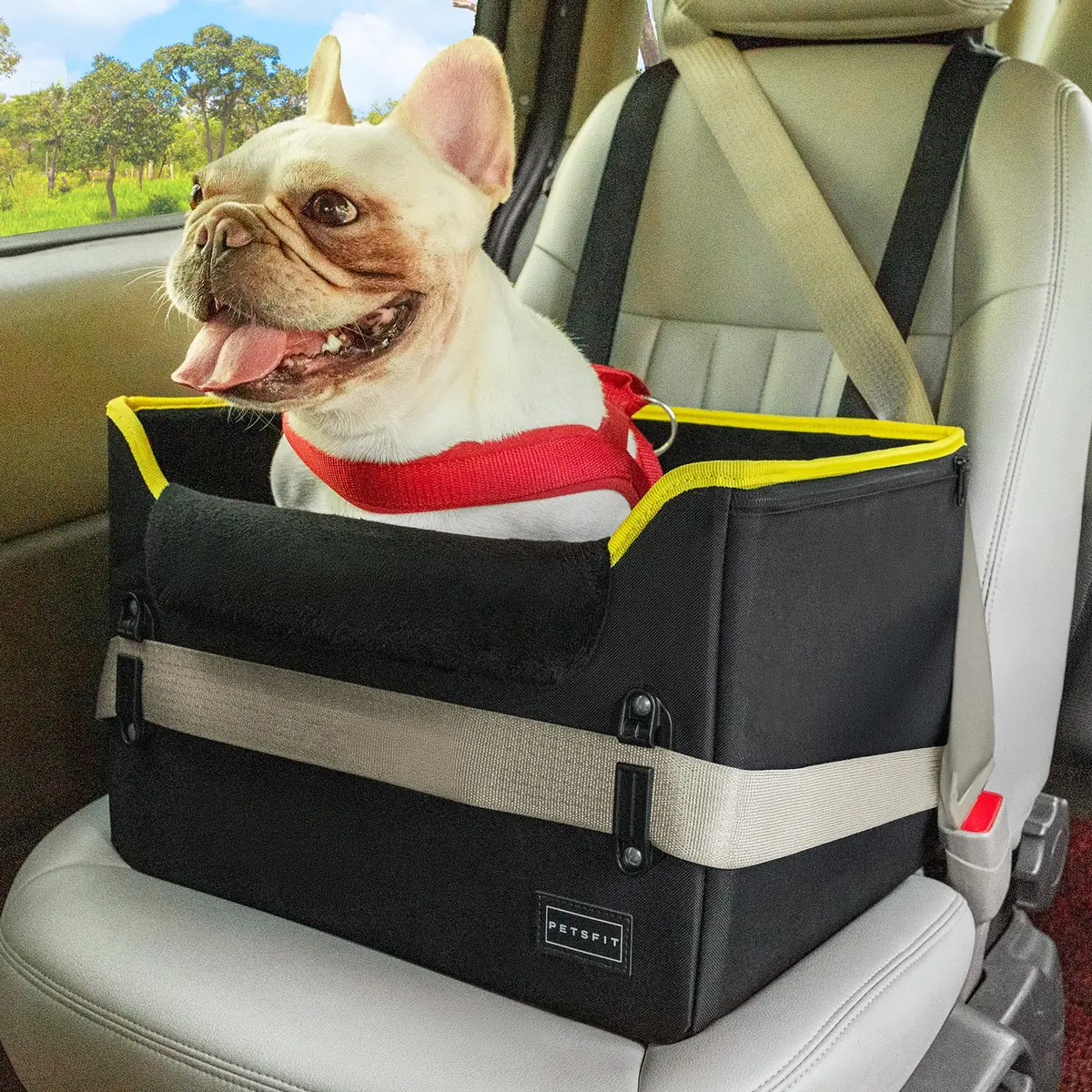 Petsfit Small Dog Car Seat – Foldable Travel Booster with Safety Buckles & Tether, Fits Front/Back Seat | Red - main product image