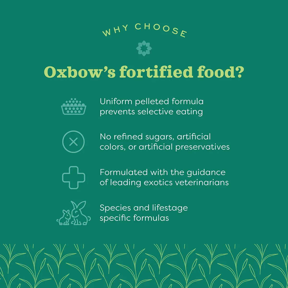 Oxbow Essentials Senior Rabbit Food 3.63 kg (8 lb) | High-Fiber Timothy Hay Pellets for Digestive Health - view 5