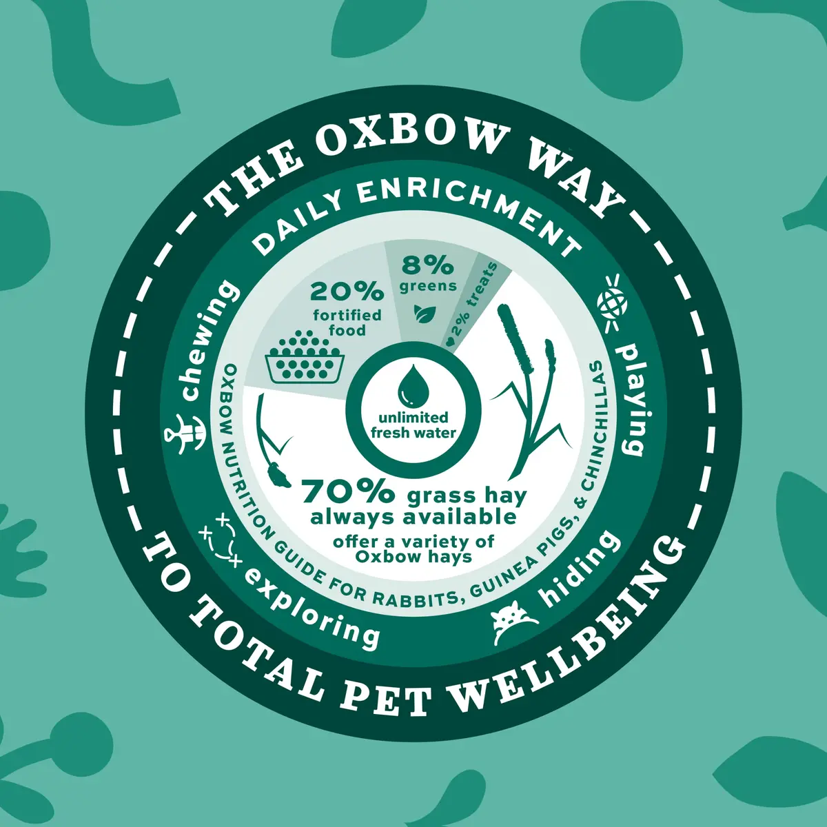 Oxbow Essentials Senior Rabbit Food 3.63 kg (8 lb) | High-Fiber Timothy Hay Pellets for Digestive Health - view 8