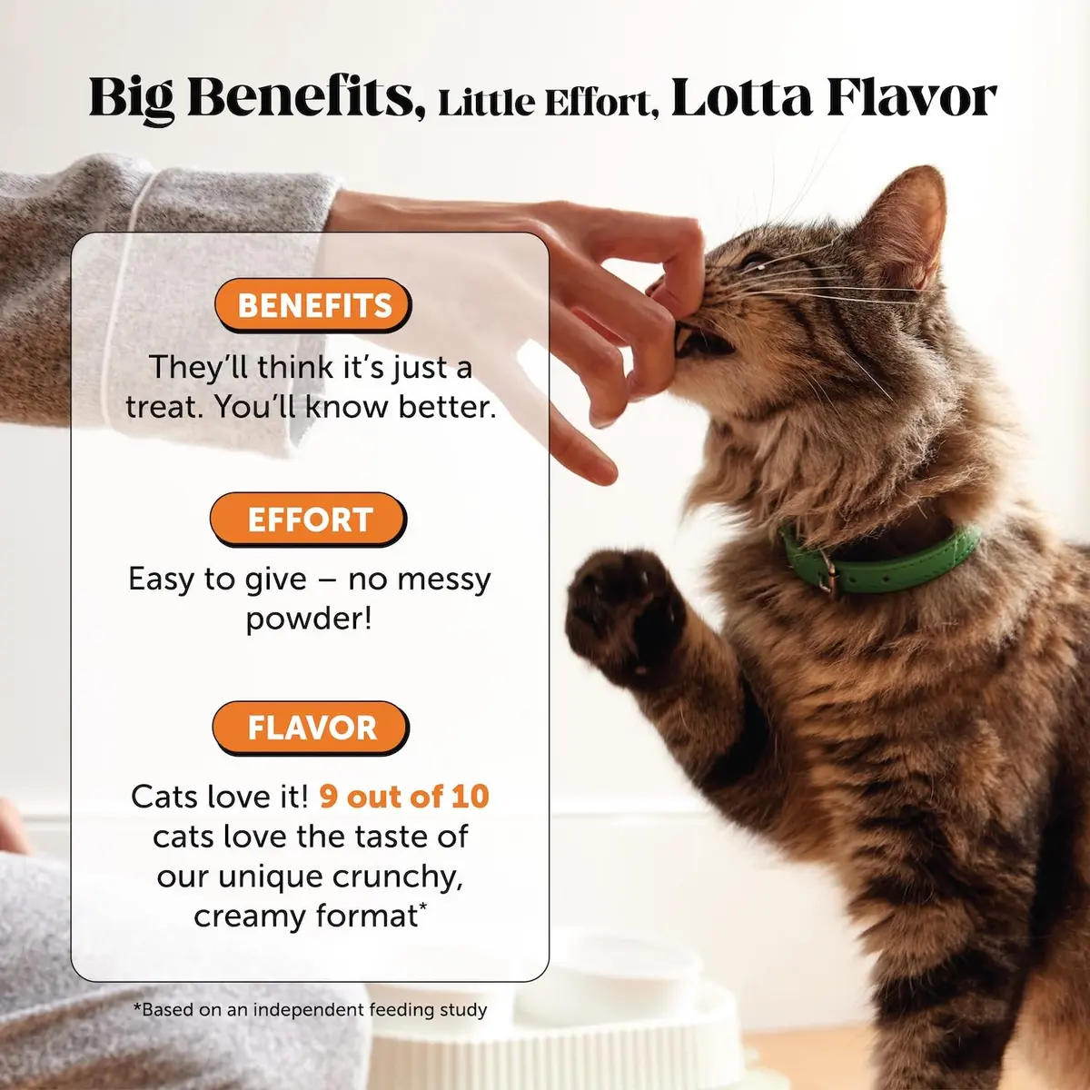 Pet Honesty Vet Backed Senior Cat Joint Supplement, Chicken, 300 Chews | Supports Mobility & Comfort - view 4