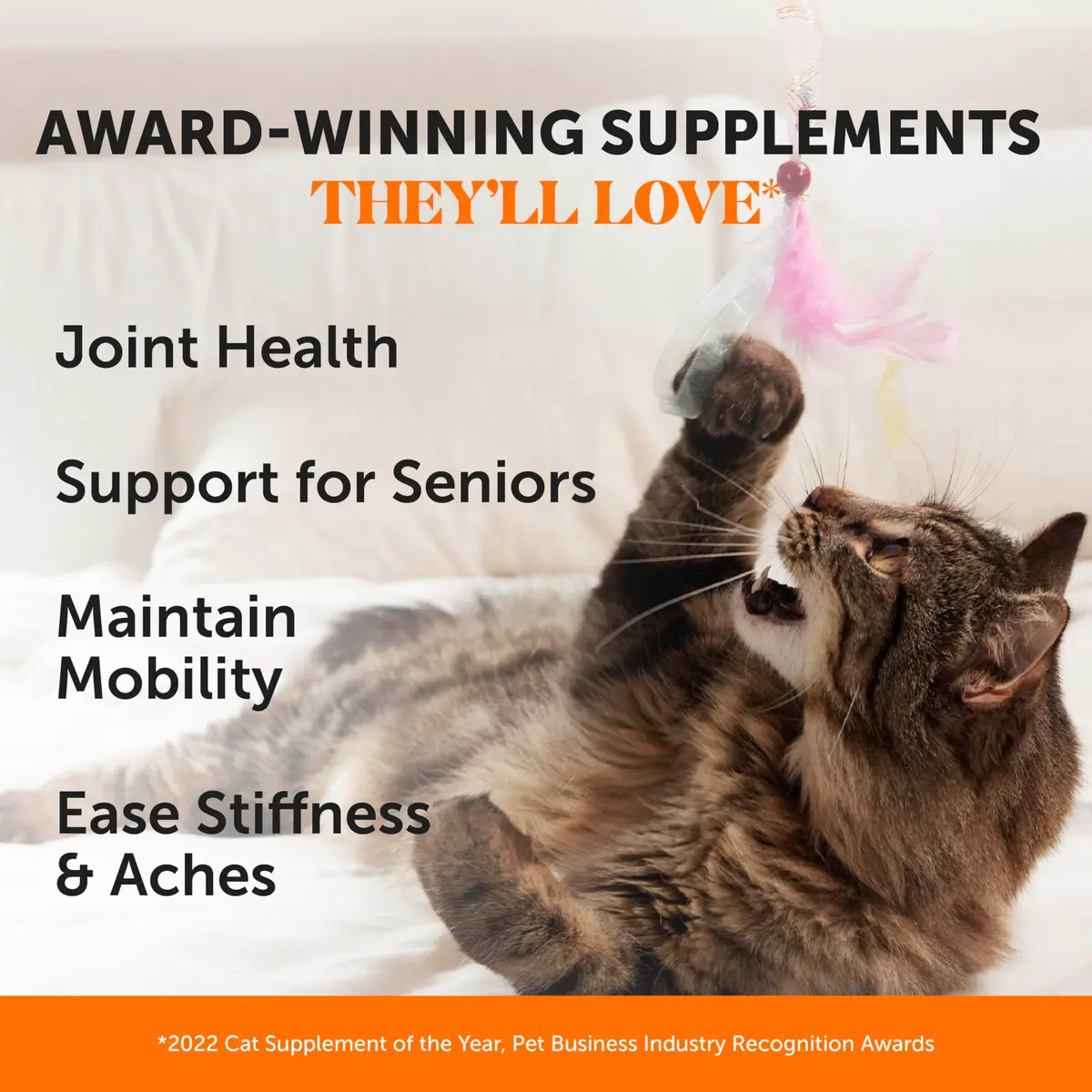Pet Honesty Vet Backed Senior Cat Joint Supplement, Chicken, 300 Chews | Supports Mobility & Comfort - view 2