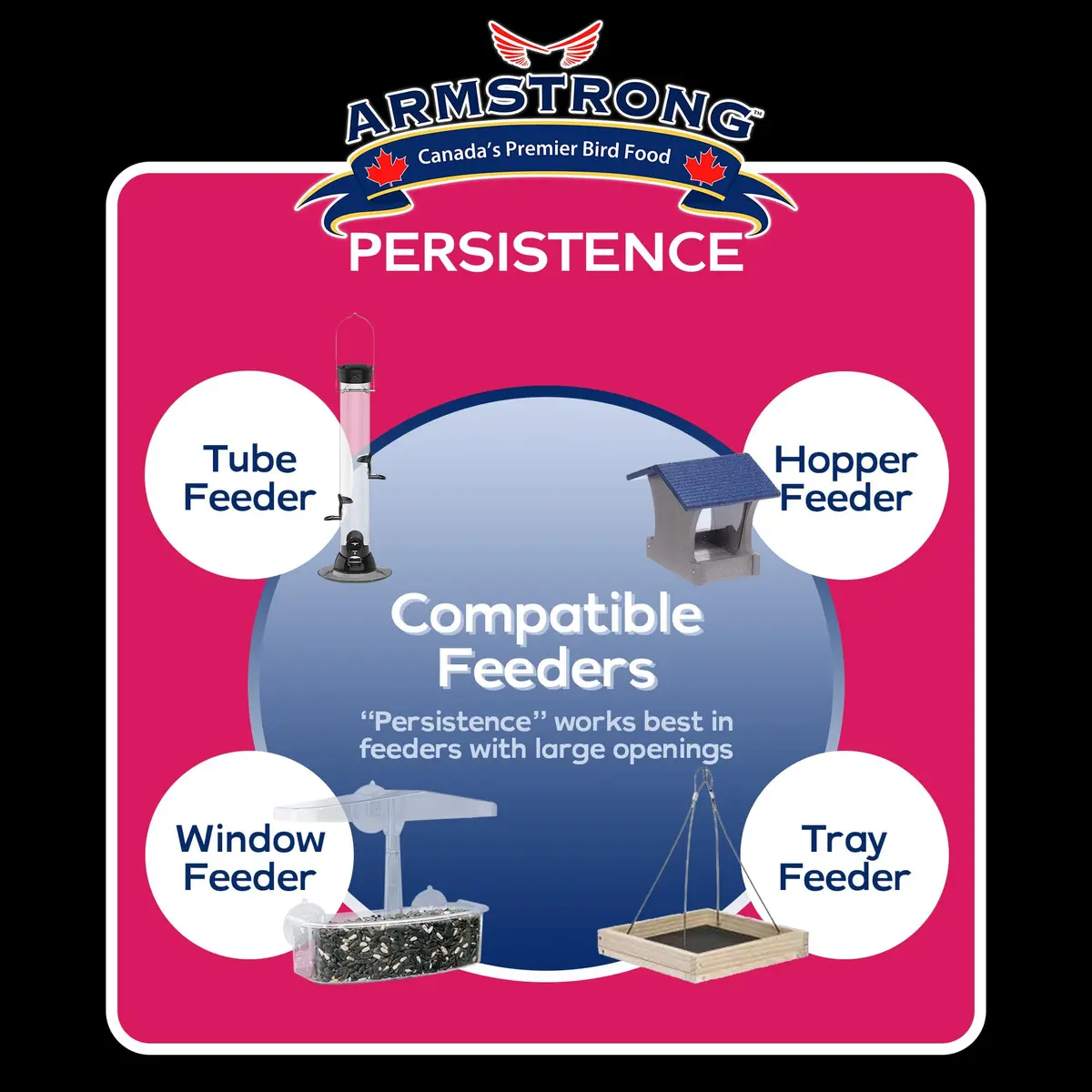 Armstrong Bird Food Royal Jubilee Persistence Blend, 4 Pounds | Premium Bird Seed for Nut & Fruit Lovers - view 5