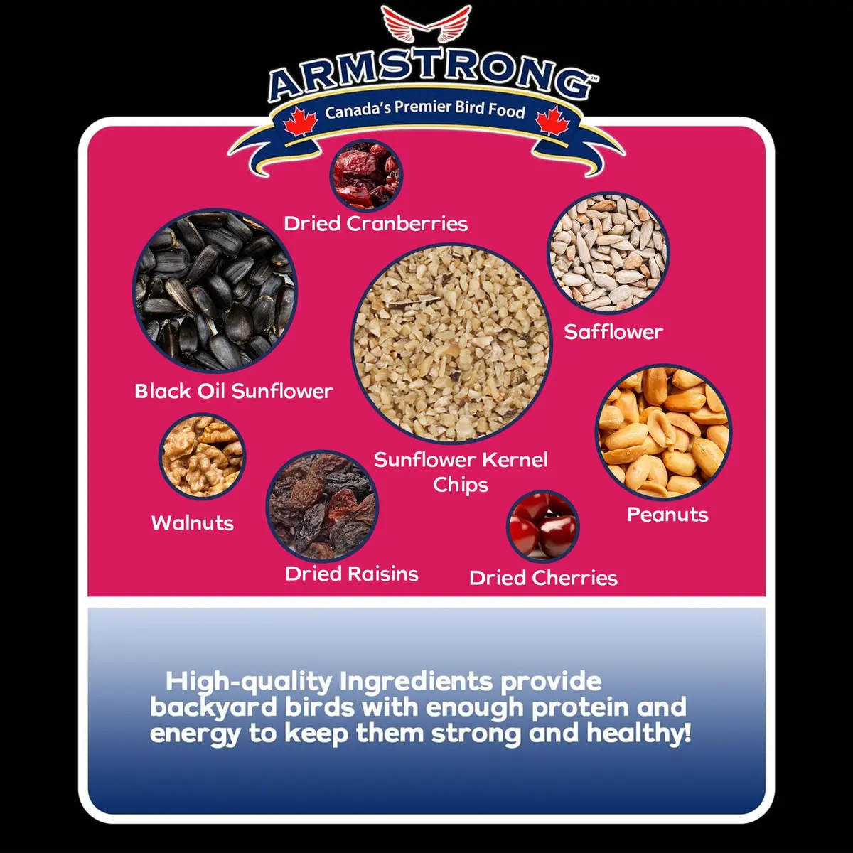 Armstrong Bird Food Royal Jubilee Persistence Blend, 4 Pounds | Premium Bird Seed for Nut & Fruit Lovers - view 4