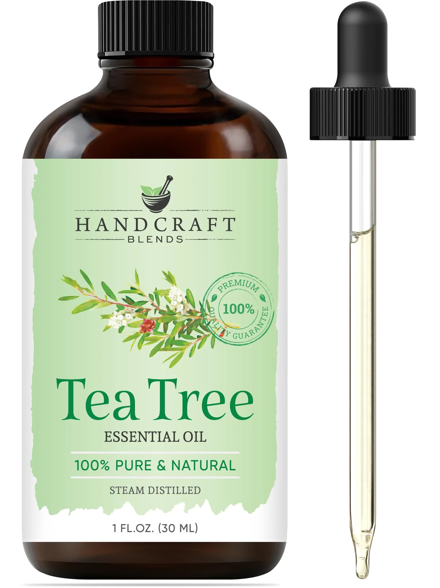 Handcraft Blends Tea Tree Essential Oil 1 Fl Oz (30ml) | Pure & Natural for Indian Crafters - main product image