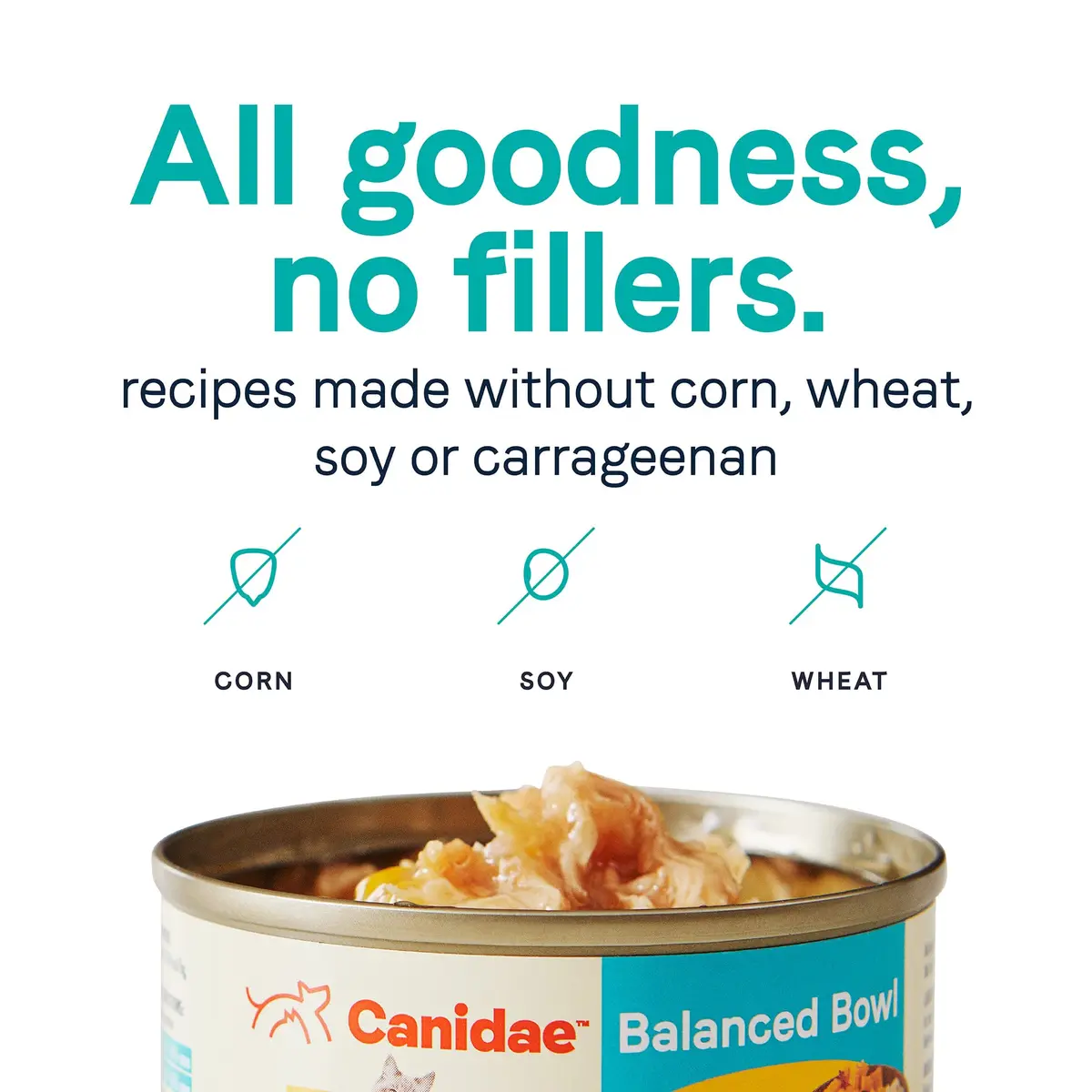 CANIDAE Balanced Bowl Wet Cat Food, Chicken & Pumpkin, 3 oz | Wholesome Hydrating Meal - view 5