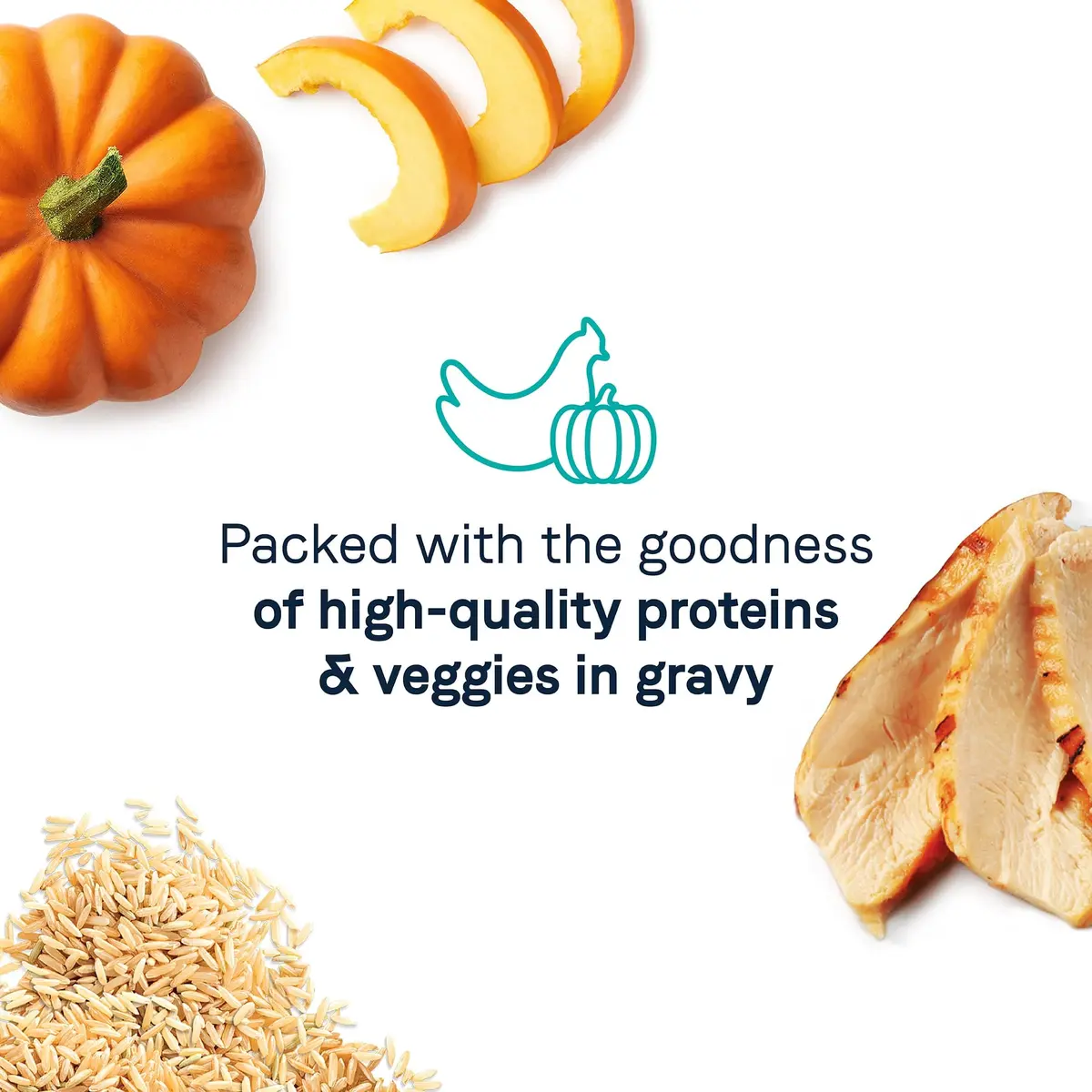 CANIDAE Balanced Bowl Wet Cat Food, Chicken & Pumpkin, 3 oz | Wholesome Hydrating Meal - view 4