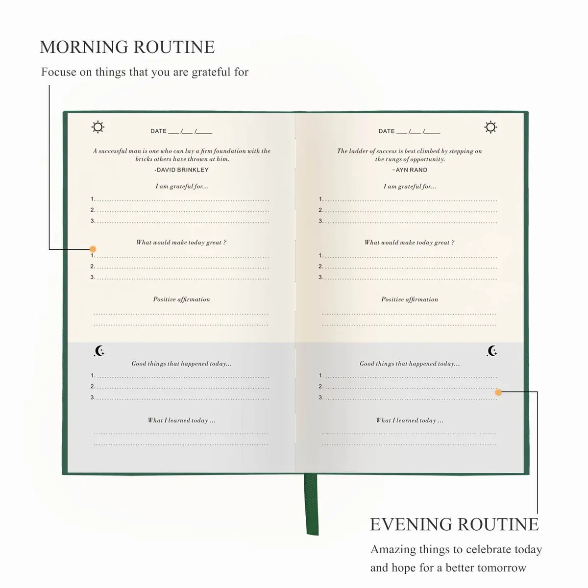 GOSSIP FOX The Gratitude Journal A Few Minutes a Day for Happiness & Reflection | Undated Daily Planner, Earth Green, A5 - view 3