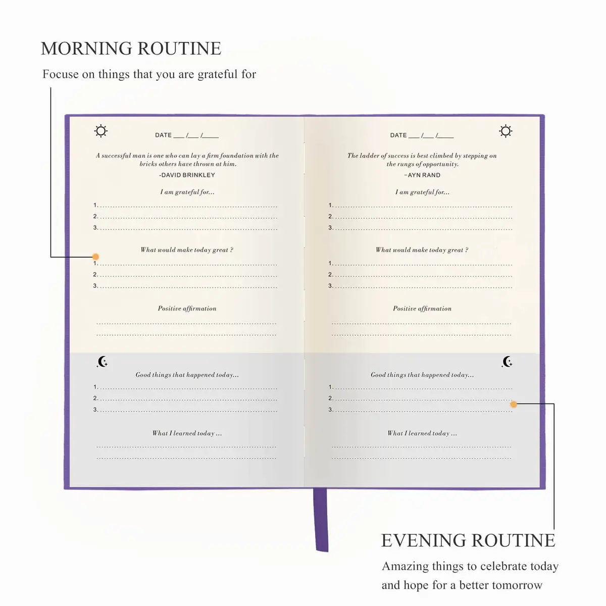 GOSSIP FOX Gratitude Journal Purple A5 | Daily Affirmation & Reflection Planner for Happiness - view 3
